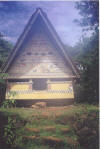 Traditional hut