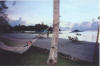 Pacific Paradise Resort